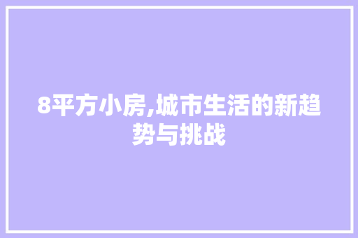 8平方小房,城市生活的新趋势与挑战