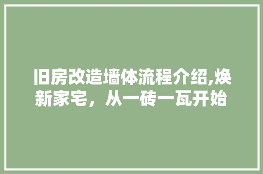 旧房改造墙体流程介绍,焕新家宅，从一砖一瓦开始