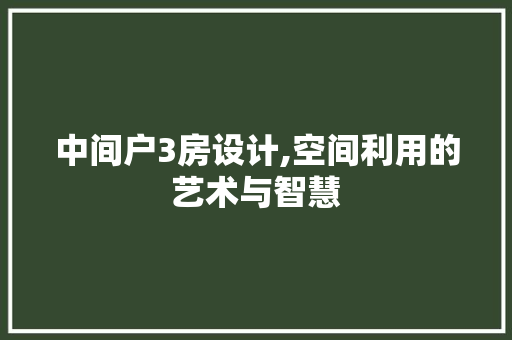中间户3房设计,空间利用的艺术与智慧