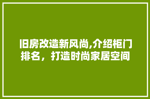 旧房改造新风尚,介绍柜门排名，打造时尚家居空间