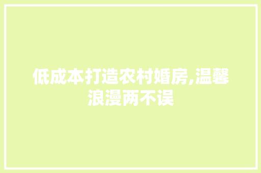 低成本打造农村婚房,温馨浪漫两不误