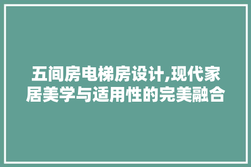 五间房电梯房设计,现代家居美学与适用性的完美融合
