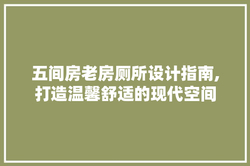五间房老房厕所设计指南,打造温馨舒适的现代空间