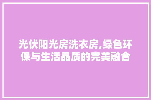 光伏阳光房洗衣房,绿色环保与生活品质的完美融合