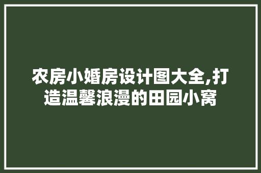 农房小婚房设计图大全,打造温馨浪漫的田园小窝