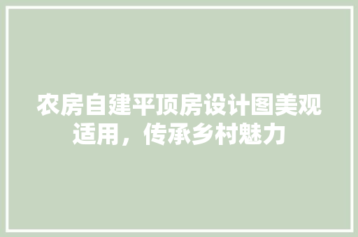 农房自建平顶房设计图美观适用，传承乡村魅力