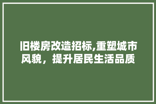 旧楼房改造招标,重塑城市风貌，提升居民生活品质