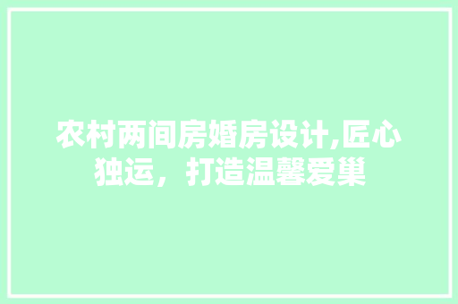 农村两间房婚房设计,匠心独运，打造温馨爱巢