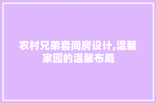 农村兄弟套间房设计,温馨家园的温馨布局