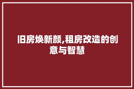 旧房焕新颜,租房改造的创意与智慧