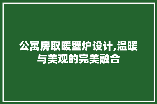 公寓房取暖壁炉设计,温暖与美观的完美融合