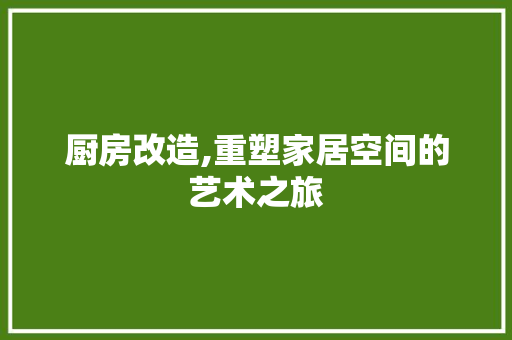厨房改造,重塑家居空间的艺术之旅