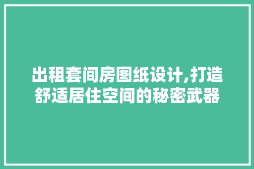出租套间房图纸设计,打造舒适居住空间的秘密武器
