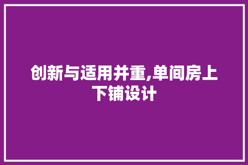 创新与适用并重,单间房上下铺设计