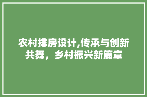 农村排房设计,传承与创新共舞，乡村振兴新篇章