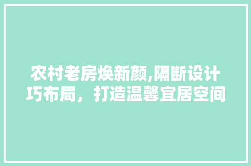 农村老房焕新颜,隔断设计巧布局，打造温馨宜居空间