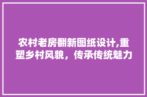 农村老房翻新图纸设计,重塑乡村风貌，传承传统魅力