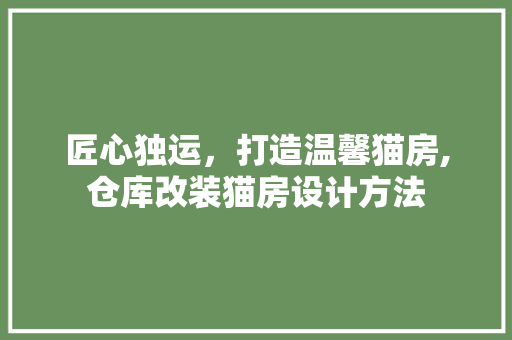 匠心独运，打造温馨猫房,仓库改装猫房设计方法