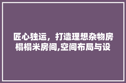 匠心独运，打造理想杂物房榻榻米房间,空间布局与设计美学探析