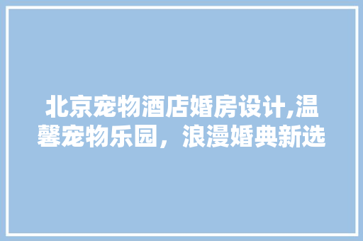 北京宠物酒店婚房设计,温馨宠物乐园，浪漫婚典新选择