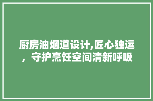 厨房油烟道设计,匠心独运，守护烹饪空间清新呼吸
