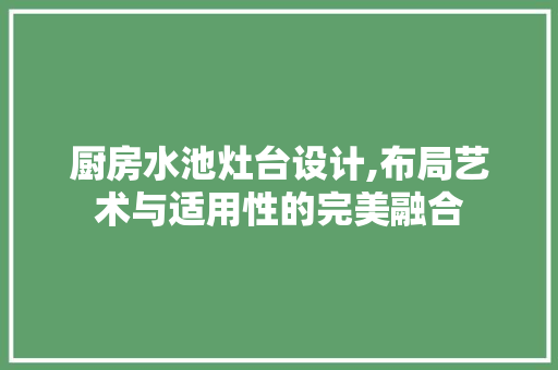 厨房水池灶台设计,布局艺术与适用性的完美融合