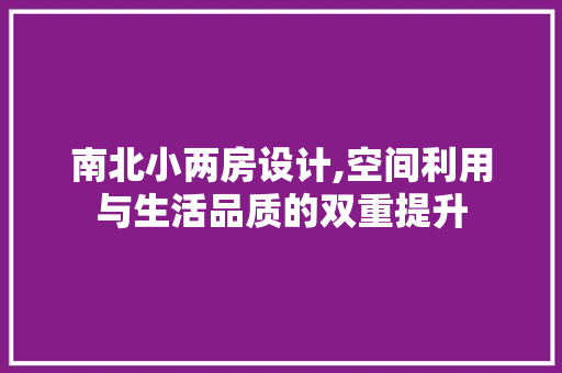 南北小两房设计,空间利用与生活品质的双重提升