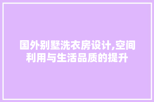 国外别墅洗衣房设计,空间利用与生活品质的提升
