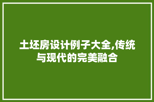 土坯房设计例子大全,传统与现代的完美融合