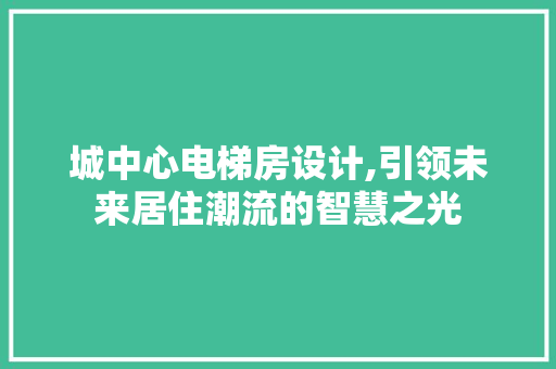 城中心电梯房设计,引领未来居住潮流的智慧之光