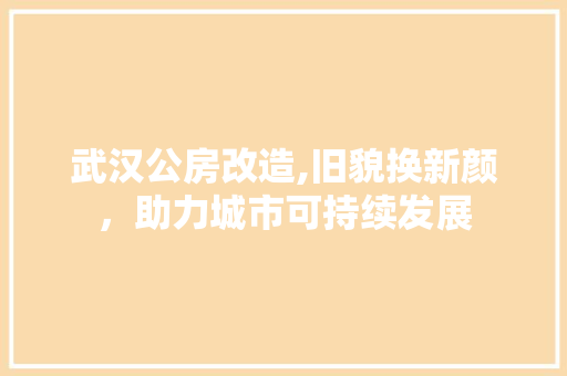 武汉公房改造,旧貌换新颜，助力城市可持续发展