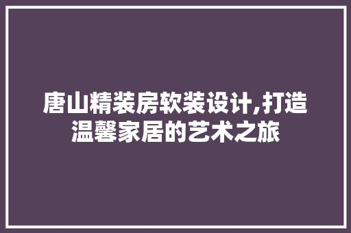 唐山精装房软装设计,打造温馨家居的艺术之旅
