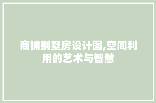 商铺别墅房设计图,空间利用的艺术与智慧