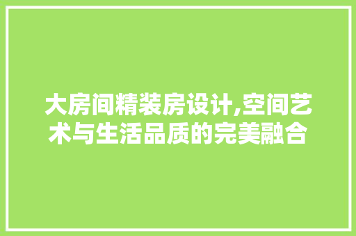 大房间精装房设计,空间艺术与生活品质的完美融合