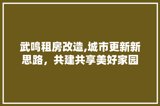 武鸣租房改造,城市更新新思路，共建共享美好家园