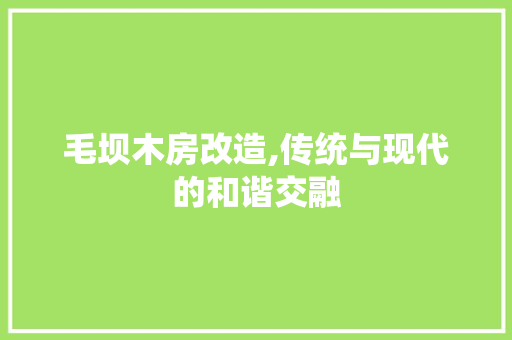 毛坝木房改造,传统与现代的和谐交融