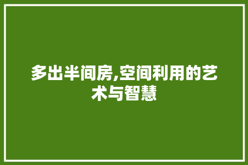 多出半间房,空间利用的艺术与智慧