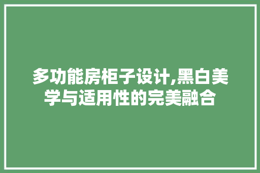 多功能房柜子设计,黑白美学与适用性的完美融合