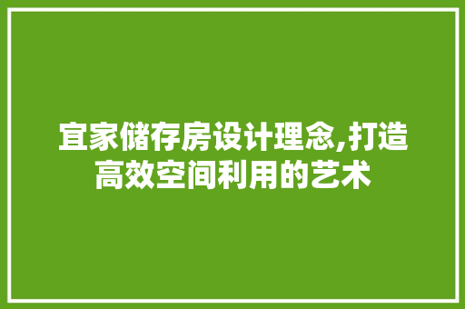 宜家储存房设计理念,打造高效空间利用的艺术