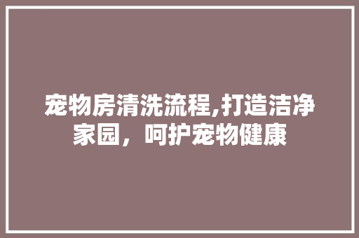 宠物房清洗流程,打造洁净家园，呵护宠物健康
