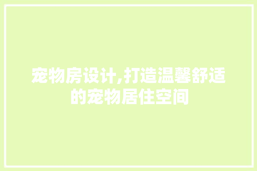 宠物房设计,打造温馨舒适的宠物居住空间