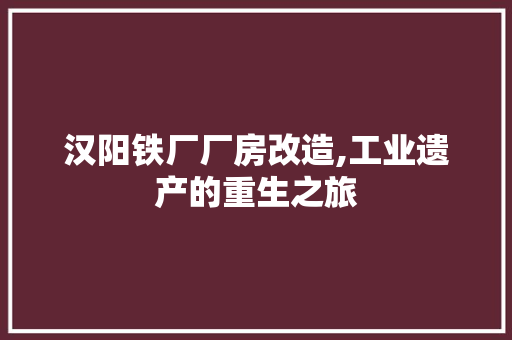 汉阳铁厂厂房改造,工业遗产的重生之旅