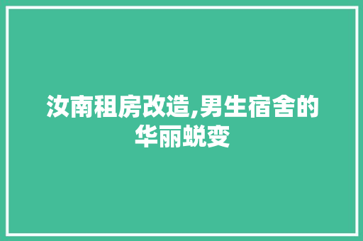 汝南租房改造,男生宿舍的华丽蜕变