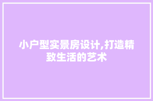 小户型实景房设计,打造精致生活的艺术