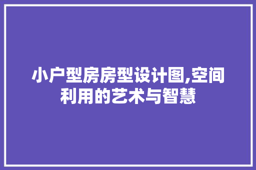 小户型房房型设计图,空间利用的艺术与智慧