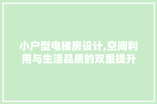小户型电梯房设计,空间利用与生活品质的双重提升