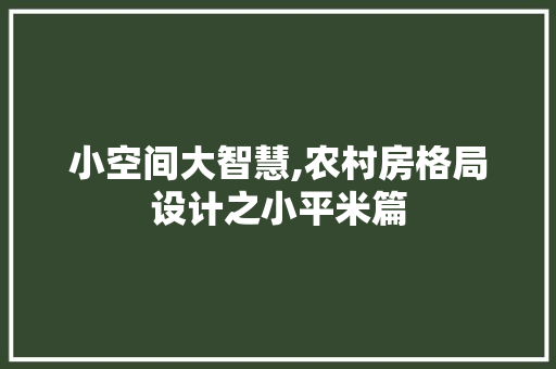 小空间大智慧,农村房格局设计之小平米篇