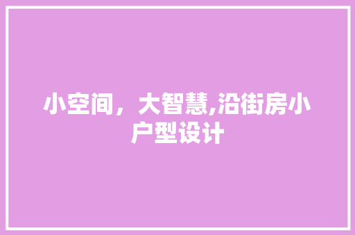 小空间，大智慧,沿街房小户型设计