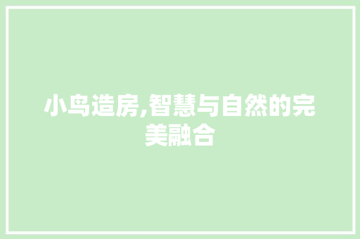 小鸟造房,智慧与自然的完美融合