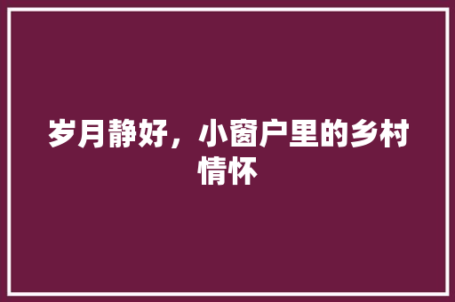 岁月静好，小窗户里的乡村情怀